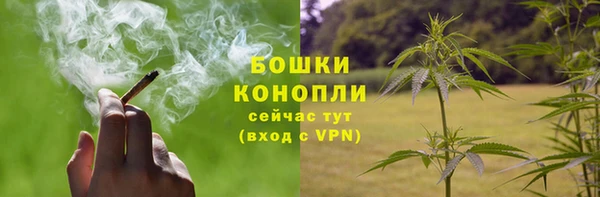 PSILOCYBIN Армянск